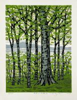 Beech Forest in Tanzawa III by Fumio Fujita