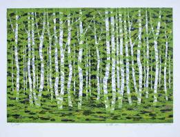 White Birch, Forest D by Fumio Fujita