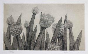 Onion Flowers No. 1 by Ryohei Tanaka