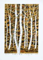 White Birch-Autumn Leaves II by Fumio Fujita