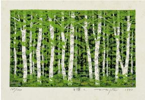 White Birch L by Fumio Fujita